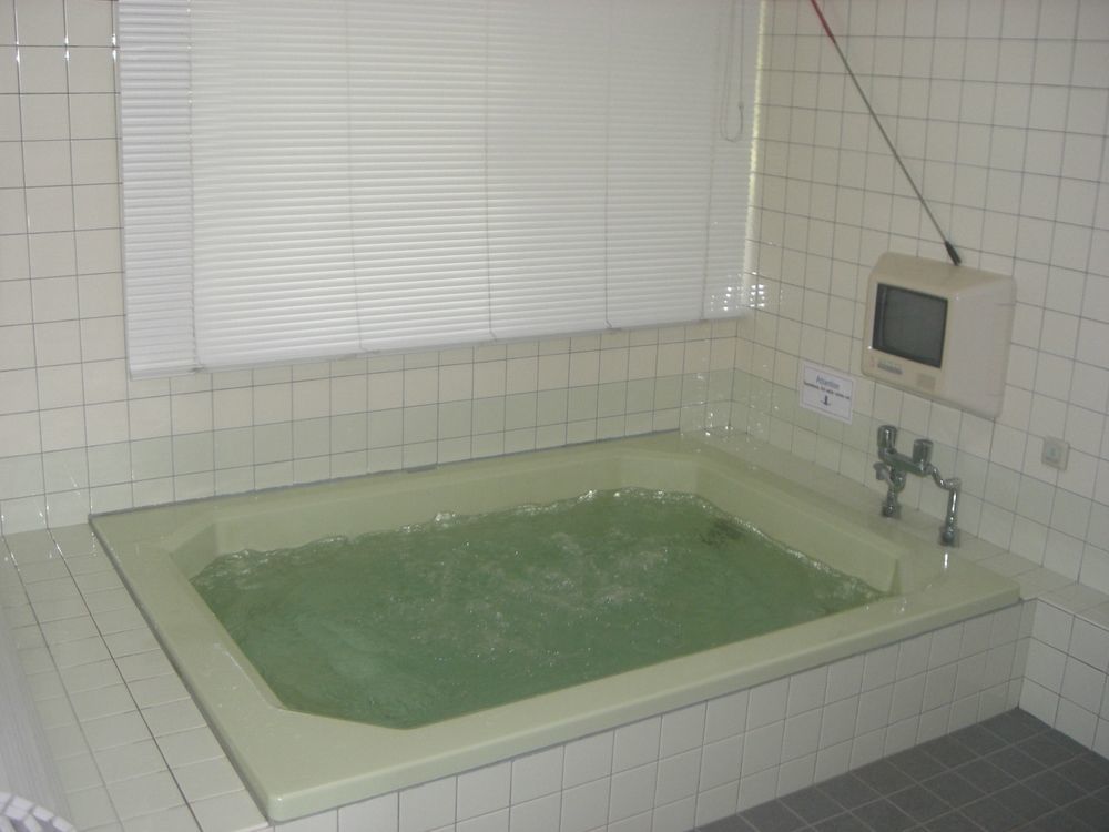Nagomi-tei Hotel Hakuba Kültér fotó